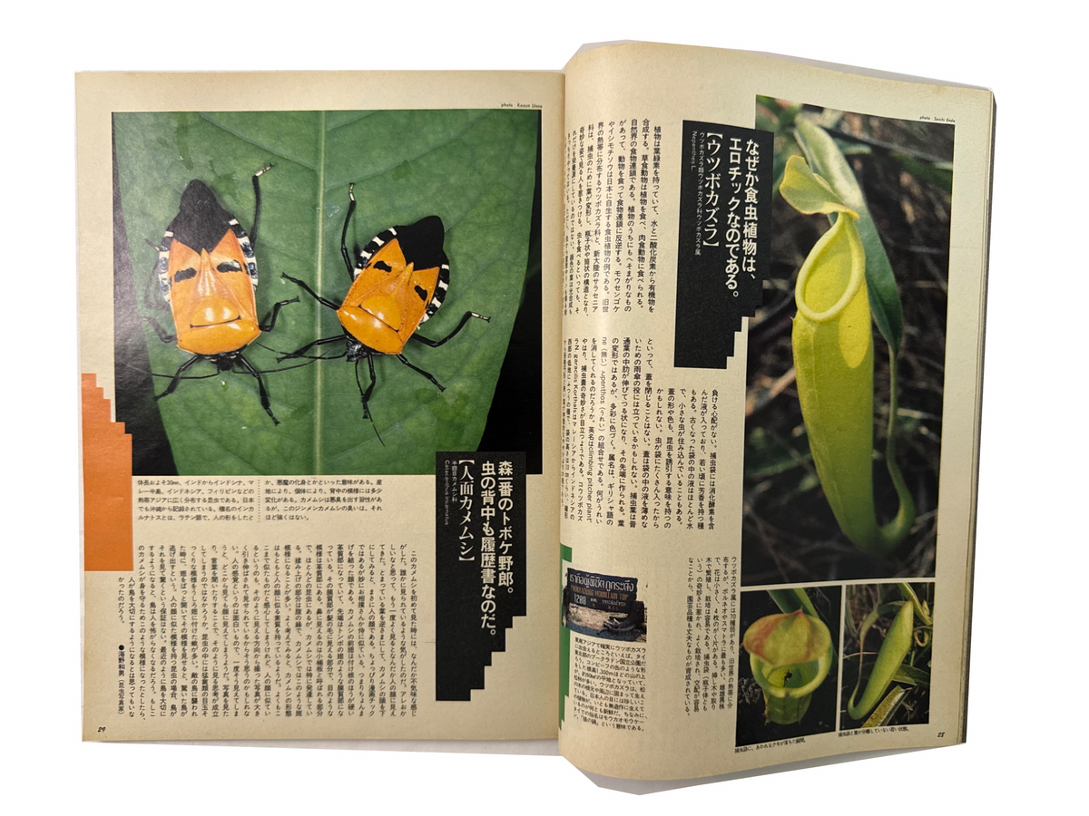 BRUTUS No.225 – インドネシア・タイ 博物学の楽園。
