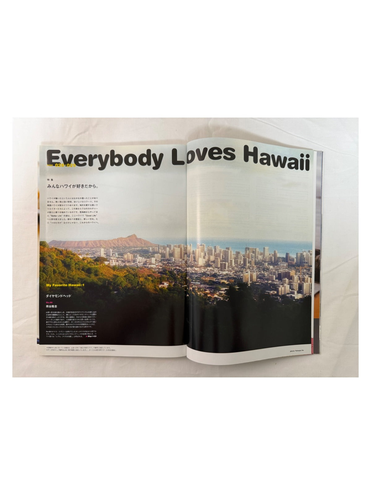 BRUTUS No.811 – EVERYBODY LOVES HAWAII みんなハワイが好きだから。