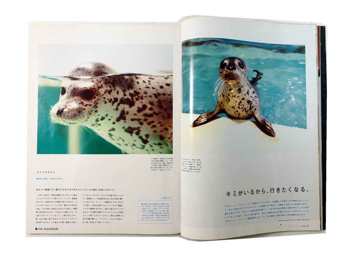 BRUTUS No.601｜2006年9月15日号「水族館に行ってみない？」