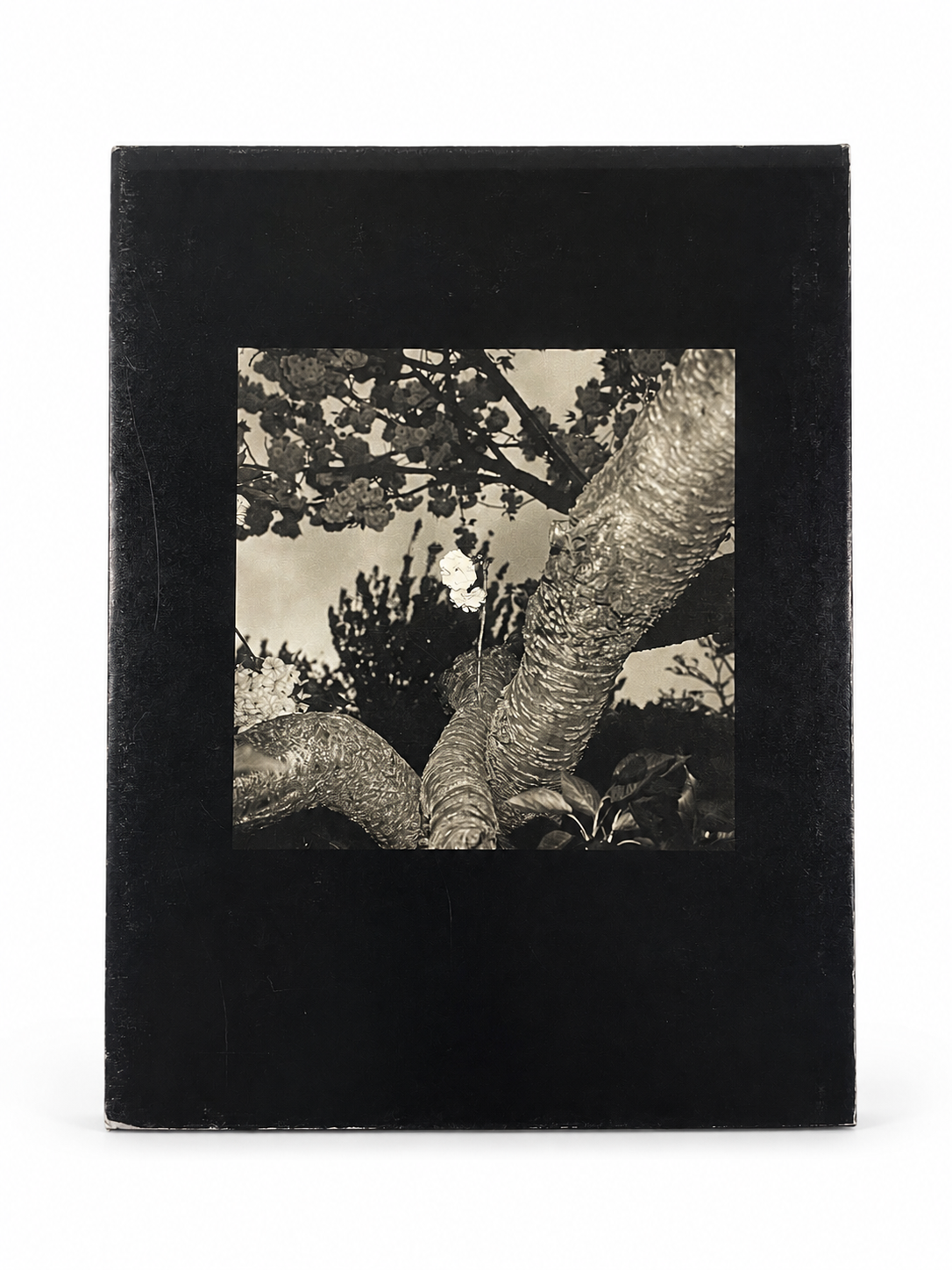 ISSEI SUDA — TOKYOKEI / 東京景 — image 5