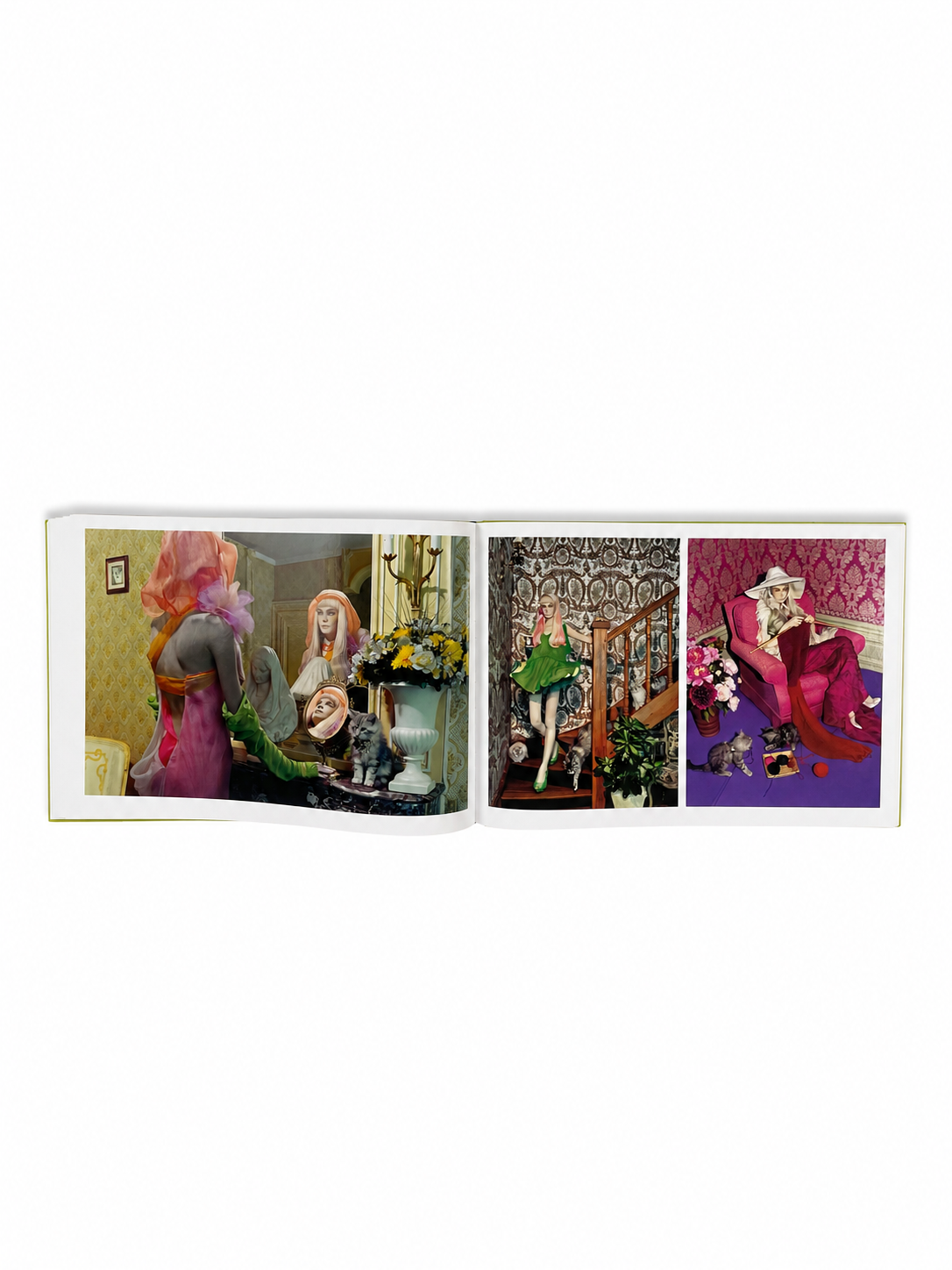 MILES ALDRIDGE — PICTURES FOR PHOTOGRAPHS — image 3