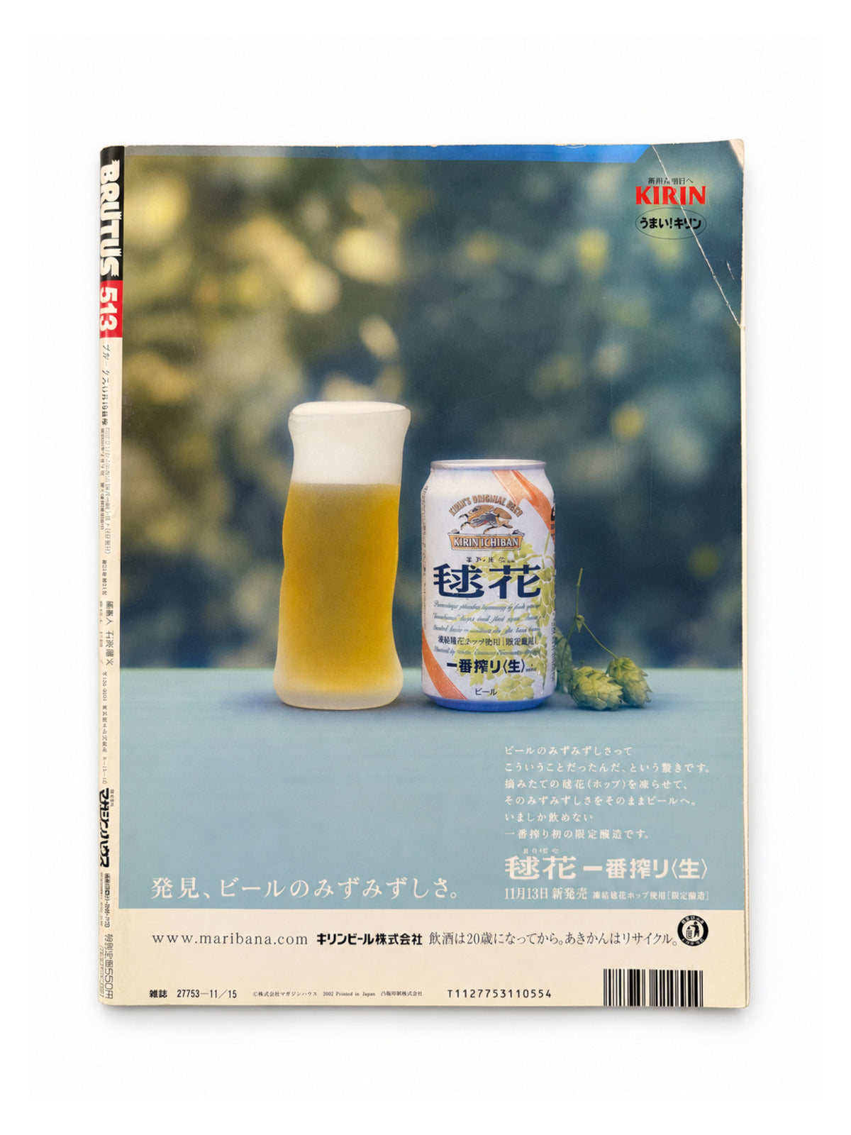 BRUTUS No.513 – 気づかなかったハワイ Discover The Real Hawaii