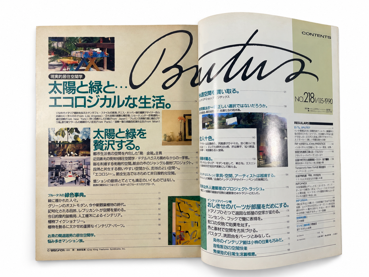 BRUTUS No.218 – 現実的居住空間学