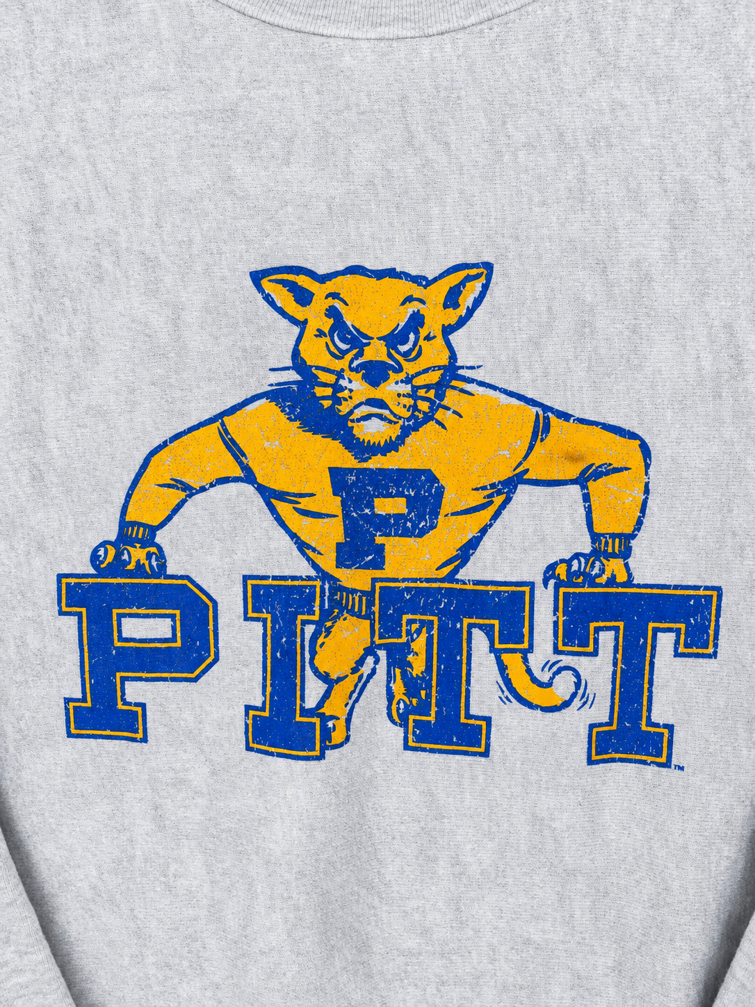 CHAMPION｜PITT SWEAT SHIRTS L size ★ USED